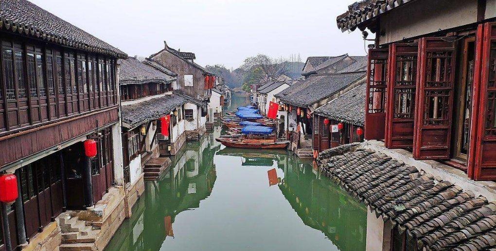 盆花常见病虫害有哪些,盆花常见病虫害咋防治-山东之窗